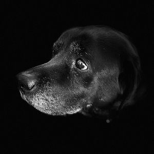 Meet your Posher, Sharon k